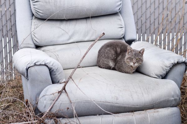 Recliner Disposal in Nampa